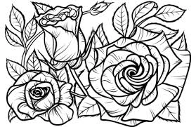 Coloring book of beautiful blooming roses